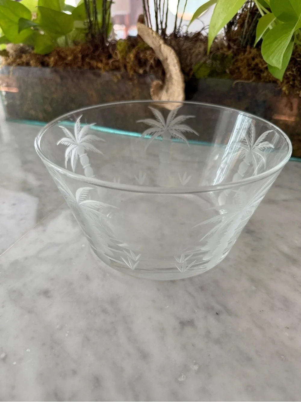 South Carolina Etched Palm Tree Bowl Palmetto